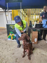 Alcald&iacute;a de Cali avanza con la campa&ntilde;a &lsquo;Yo cuido y mantengo mi parque limpio&rsquo;, para la correcta disposici&oacute;n de excrementos de mascotas