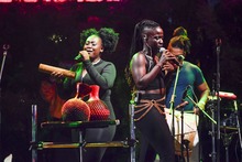 Progr&aacute;mese para el &uacute;ltimo d&iacute;a de la COP16: agenda del 1 de  noviembre