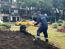 El Dagma y la comunidad transforman espacios p&uacute;blicos de Cali con el  programa de &lsquo;Adopci&oacute;n de Zonas Verdes&rsquo;