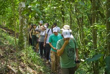 COP16, &eacute;xito tur&iacute;stico sin precedentes en Cali: m&aacute;s de 15.000 turistas, 11.000 reservas a&eacute;reas internacionales y ocupaci&oacute;n hotelera del 91 %