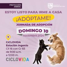 Adopta con el coraz&oacute;n y transforma la vida de un animal compa&ntilde;ero