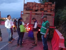 En el kil&oacute;metro 7 de la v&iacute;a al mar, autoridades desplegaron un operativo interinstitucional de control al tr&aacute;fico de flora y fauna silvestre 