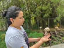 La COP16 y el Hogar de Paso del Dagma, cruzaron los caminos de una cuidadora de pumas argentina y un investigador chino