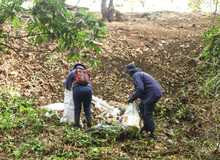 Recicladores y Dagma, liberaran de residuos 5 r&iacute;os y 46 quebradas de la ciudad