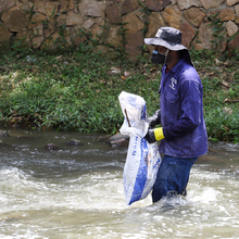 Recicladores y Dagma, liberaran de residuos 5 r&iacute;os y 46 quebradas de la ciudad
