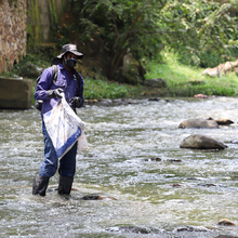 Recicladores y Dagma, liberaran de residuos 5 r&iacute;os y 46 quebradas de la ciudad