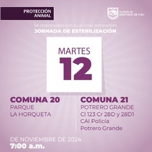 Jornada de  esterilizaci&oacute;n 12 de noviembre de 2024