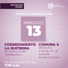 Jornada de  esterilizaci&oacute;n 13 de noviembre de 2024