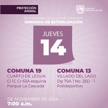 Jornada de  esterilizaci&oacute;n 14 de noviembre de 2024