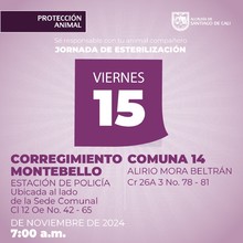Jornada de  esterilizaci&oacute;n 15 de noviembre de 2024