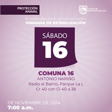 Jornada de esterilizaci&oacute;n 16 de noviembre de 2024