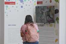 El multiling&uuml;ismo y la ense&ntilde;anza de lenguas extranjeras se fortalece en Cali