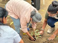 Microempresarios de Cali se suman a la adopci&oacute;n de zonas verdes liderada por el Dagma