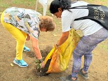 Microempresarios de Cali se suman a la adopci&oacute;n de zonas verdes liderada por el Dagma