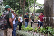 Cuadrilla Arb&oacute;rea del Dagma es capacitada en el uso de tomograf&iacute;a s&oacute;nica
