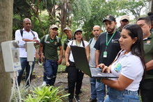 Cuadrilla Arb&oacute;rea del Dagma es capacitada en el uso de tomograf&iacute;a s&oacute;nica