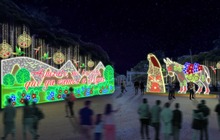 &lsquo;Alumbrado Navide&ntilde;o 2024&rsquo; abarcar&aacute; m&aacute;s zonas de Cali y costar&aacute; menos que el a&ntilde;o pasado