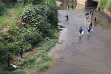 M&aacute;s de 1.000 metros c&uacute;bicos de residuos se han retirado de cinco r&iacute;os y 46 quebradas en Cali: Dagma y recicladores lideran las intervenciones