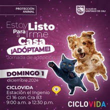 Jornada de adopciones 1 de diciembre de 2024