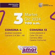Jornada de esterilizaci&oacute;n 3 de diciembre de 2024
