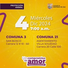 Jornada de esterilizaci&oacute;n 4 de diciembre de 2024