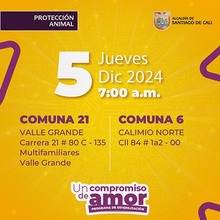 Jornada de esterilizaci&oacute;n 5 de diciembre de 2024