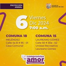 Jornada de esterilizaci&oacute;n 6 de diciembre de 2024