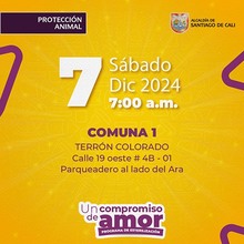 Jornada de esterilizaci&oacute;n 7 de diciembre de 2024