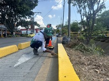 Cali florece: &lsquo;Promotores Mi Cali Bella&rsquo; inician jornada de embellecimiento en la calle 13 entre carreras 50 y 56