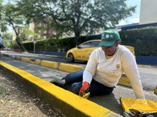 Cali florece: &lsquo;Promotores Mi Cali Bella&rsquo; inician jornada de embellecimiento en la calle 13 entre carreras 50 y 56