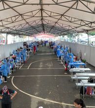 Cali demuestra su amor por los animales: m&aacute;s de 700 participaron en jornada masiva