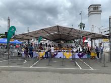 Cali demuestra su amor por los animales: m&aacute;s de 700 participaron en jornada masiva