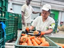 As&iacute; es el &lsquo;Concurso de Pesebres Ecol&oacute;gicos&rsquo; que premiar&aacute; la creatividad de gestores y beneficiarios de 762 comedores comunitarios