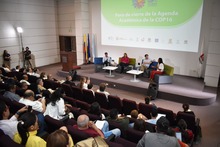 Expertos, universidades y el sector p&uacute;blico, analizaron el legado y los resultados de la COP16