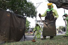 &lsquo;Cali le canta a la Navidad&rsquo; con zonas verdes limpias y en &oacute;ptimas  condiciones