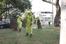 &lsquo;Cali le canta a la Navidad&rsquo; con zonas verdes limpias y en &oacute;ptimas  condiciones