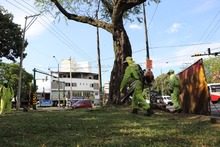 &lsquo;Cali le canta a la Navidad&rsquo; con zonas verdes limpias y en &oacute;ptimas  condiciones