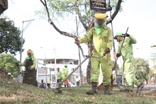 &lsquo;Cali le canta a la Navidad&rsquo; con zonas verdes limpias y en &oacute;ptimas  condiciones