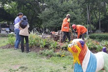 Avanza la recuperaci&oacute;n del Parque del Perro: Dagma supervisa la extracci&oacute;n de un gigantesco toc&oacute;n