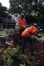 Avanza la recuperaci&oacute;n del Parque del Perro: Dagma supervisa la extracci&oacute;n de un gigantesco toc&oacute;n