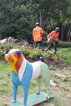 Avanza la recuperaci&oacute;n del Parque del Perro: Dagma supervisa la extracci&oacute;n de un gigantesco toc&oacute;n