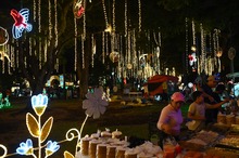 El plan imperdible del &lsquo;Alumbrado 2024&rsquo;: un recorrido que le &lsquo;canta a la Navidad&rsquo;