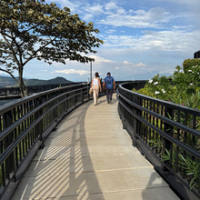 &Eacute;xito en alistamiento del tramo 5 de Cristo Rey: m&aacute;s de 23 mil personas inscritas en diciembre para visitar el monumento