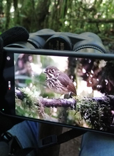 &lsquo;Plan Farallones&rsquo;: iniciativa para la protecci&oacute;n y conservaci&oacute;n del Parque Nacional Natural 