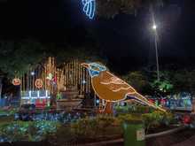 &iquest;Qu&eacute; opinan los cale&ntilde;os sobre el alumbrado navide&ntilde;o en Cali? 