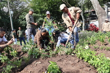 Con un caracol&iacute; y jard&iacute;n para polinizadores, se realiz&oacute; la reposici&oacute;n del caucho talado en el Parque del Perro