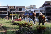 Con un caracol&iacute; y jard&iacute;n para polinizadores, se realiz&oacute; la reposici&oacute;n del caucho talado en el Parque del Perro