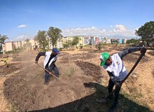 M&aacute;s de veintinueve mil metros cuadrados del jarill&oacute;n del r&iacute;o Cauca han sido recuperados ambientalmente