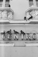 Primer lugar - Leonardo Carabali