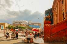 Tercer lugar - Ana Sofia Dominguez